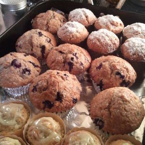 Muffin Madness